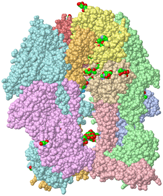 Image Asym. Unit - sites