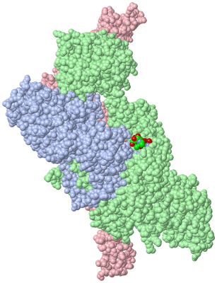 Image Asym./Biol. Unit - sites