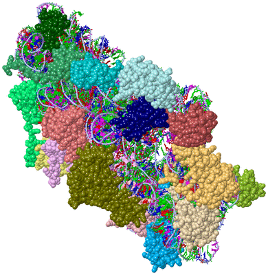 Image Asym./Biol. Unit - sites