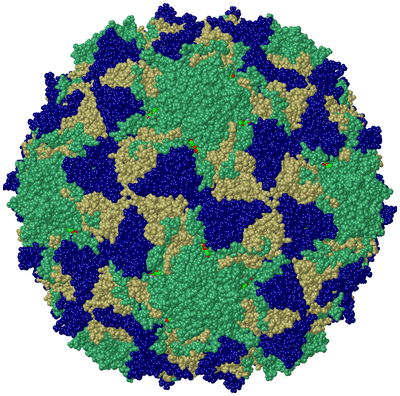 Image Biol. Unit 1 - sites