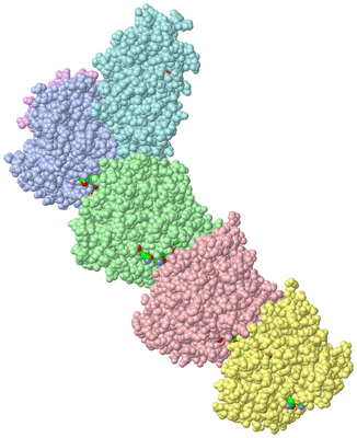 Image Asym./Biol. Unit - sites