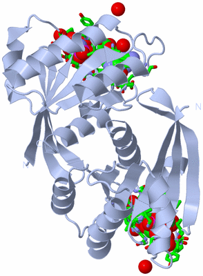 Image Biol. Unit 1 - sites