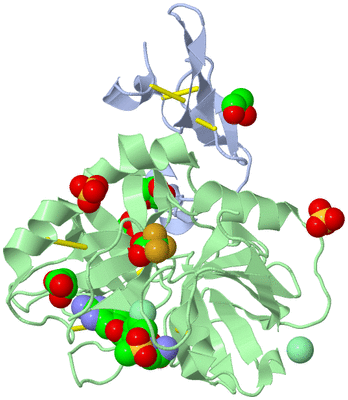 Image Asym./Biol. Unit