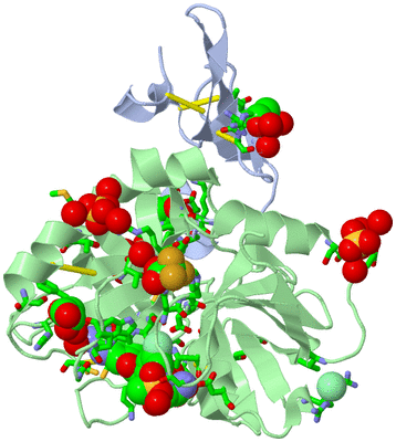 Image Asym./Biol. Unit - sites