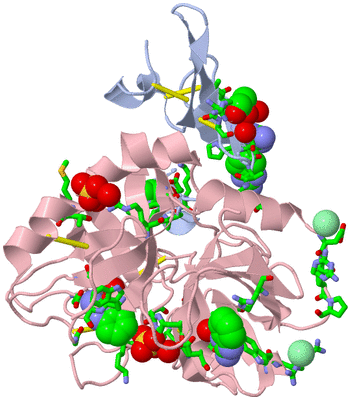 Image Asym./Biol. Unit - sites