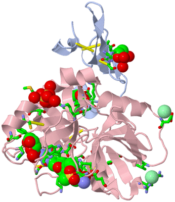 Image Asym./Biol. Unit - sites