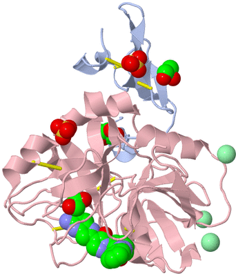 Image Asym./Biol. Unit