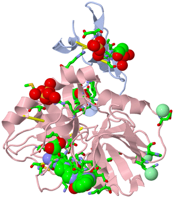 Image Asym./Biol. Unit - sites