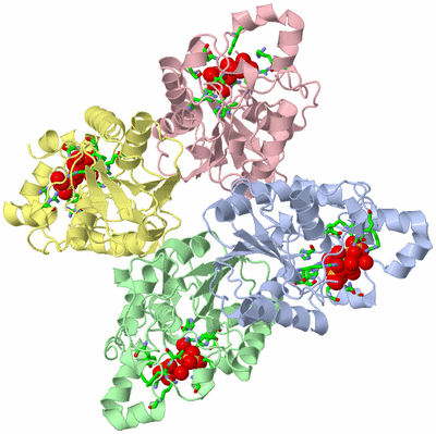 Image Biol. Unit 1 - sites