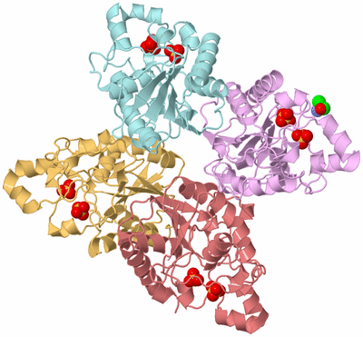 Image Biological Unit 2