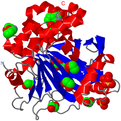 Image Asym./Biol. Unit