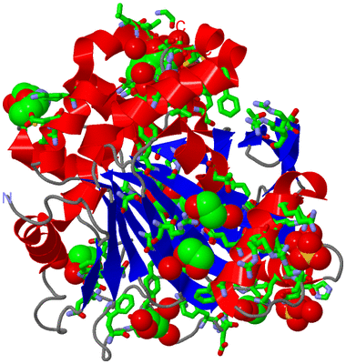 Image Asym./Biol. Unit - sites