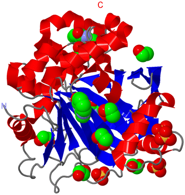 Image Asym./Biol. Unit