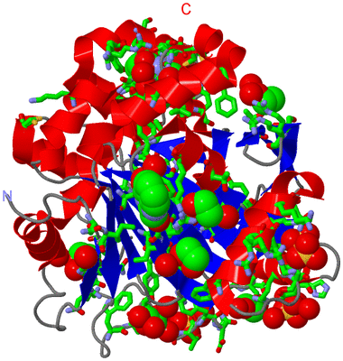 Image Asym./Biol. Unit - sites