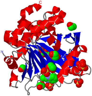 Image Asym./Biol. Unit