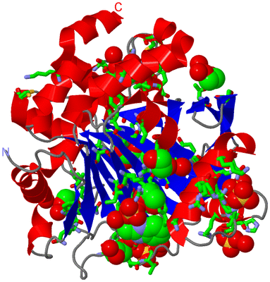 Image Asym./Biol. Unit - sites