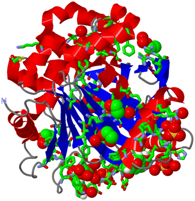 Image Asym./Biol. Unit - sites