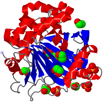 Image Asym./Biol. Unit