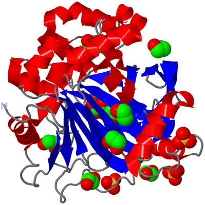 Image Asym./Biol. Unit