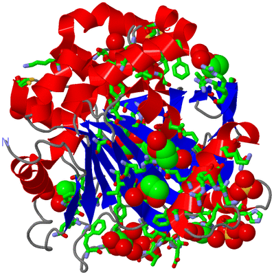 Image Asym./Biol. Unit - sites