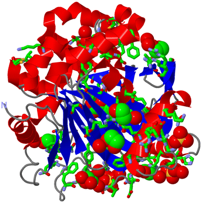 Image Asym./Biol. Unit - sites