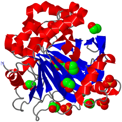 Image Asym./Biol. Unit