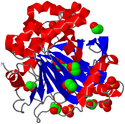 Image Asym./Biol. Unit