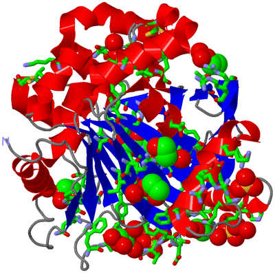 Image Asym./Biol. Unit - sites