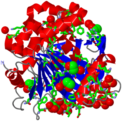 Image Asym./Biol. Unit - sites