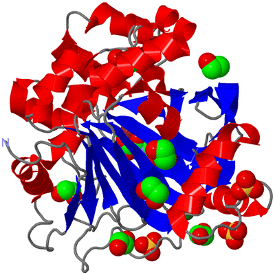 Image Asym./Biol. Unit