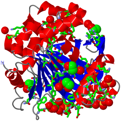 Image Asym./Biol. Unit - sites