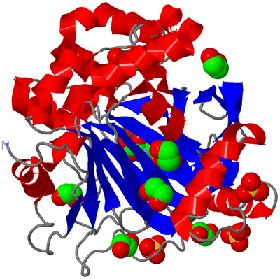 Image Asym./Biol. Unit