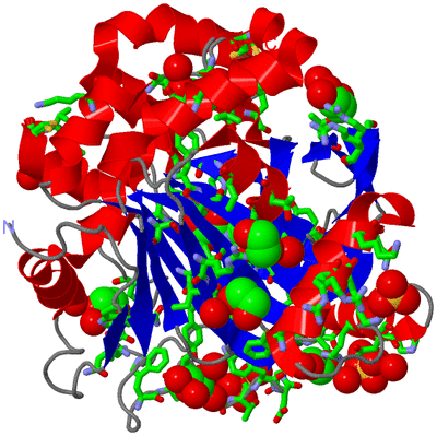 Image Asym./Biol. Unit - sites