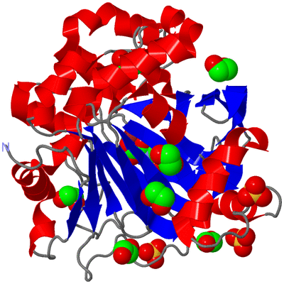 Image Asym./Biol. Unit