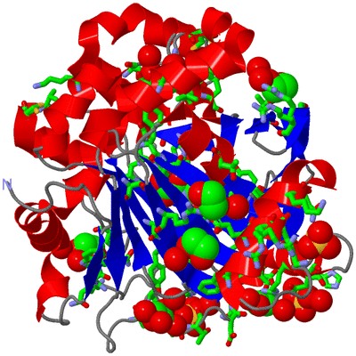 Image Asym./Biol. Unit - sites