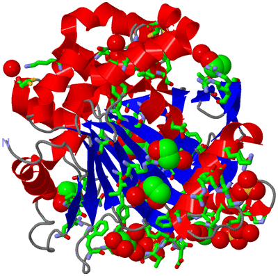 Image Asym./Biol. Unit - sites