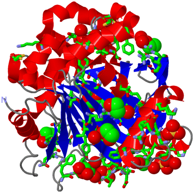 Image Asym./Biol. Unit - sites