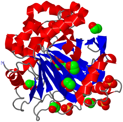 Image Asym./Biol. Unit