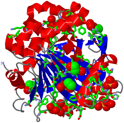 Image Asym./Biol. Unit - sites