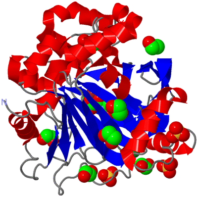 Image Asym./Biol. Unit