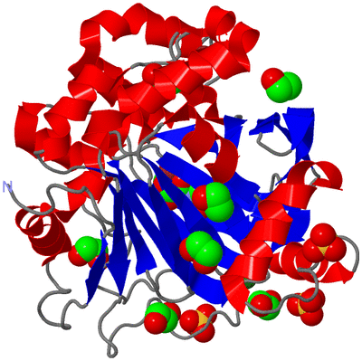 Image Asym./Biol. Unit