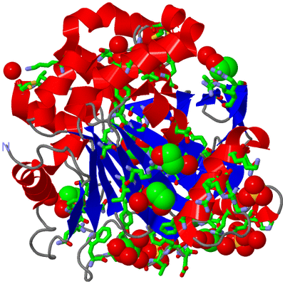 Image Asym./Biol. Unit - sites