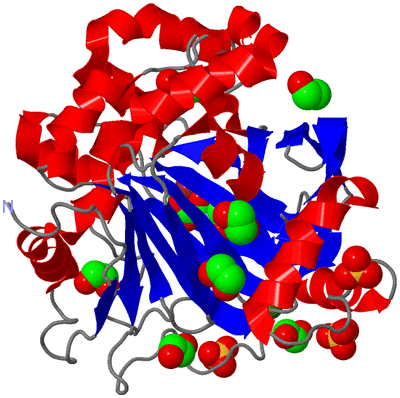 Image Asym./Biol. Unit