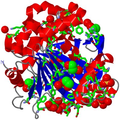 Image Asym./Biol. Unit - sites