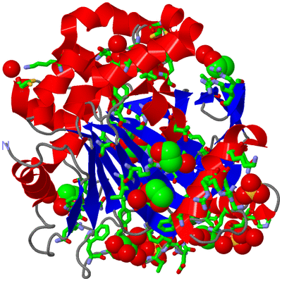 Image Asym./Biol. Unit - sites