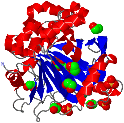 Image Asym./Biol. Unit