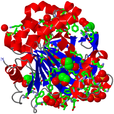 Image Asym./Biol. Unit - sites