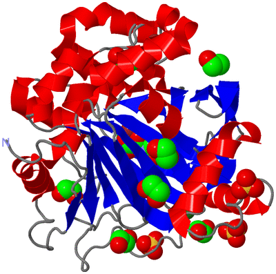 Image Asym./Biol. Unit