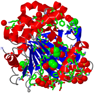 Image Asym./Biol. Unit - sites