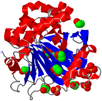 Image Asym./Biol. Unit